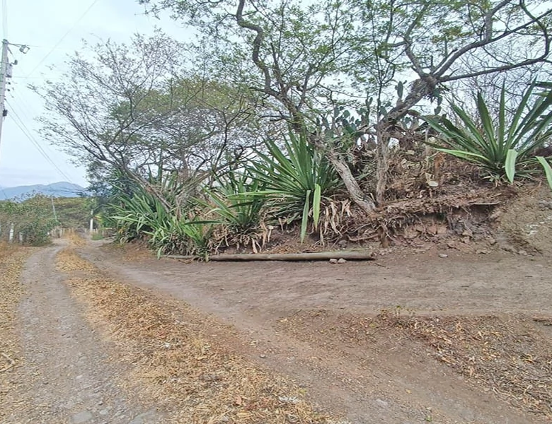 TERRENO EN VENTA – YUNGUILLA – LA UNIÓN – 1400M2 PLANITOS – OPORTUNIDAD.