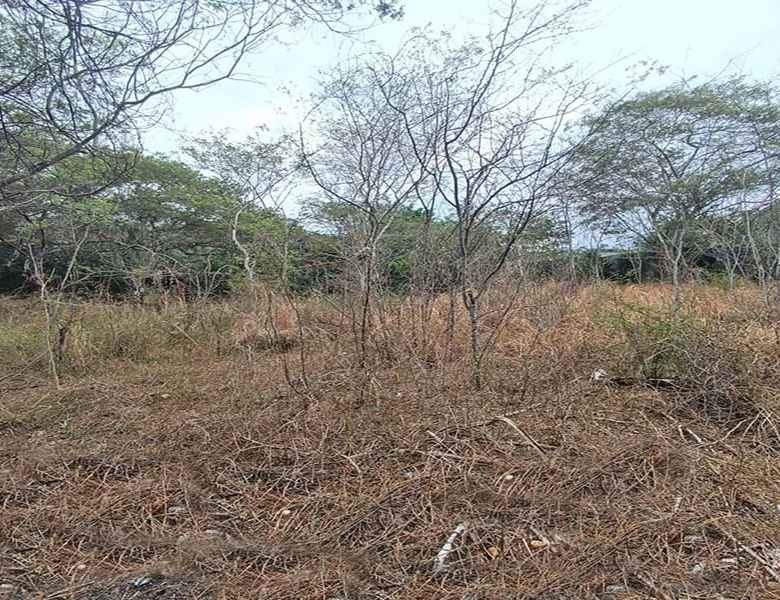 TERRENO EN VENTA – YUNGUILLA – LA UNIÓN – 1400M2 PLANITOS – OPORTUNIDAD.