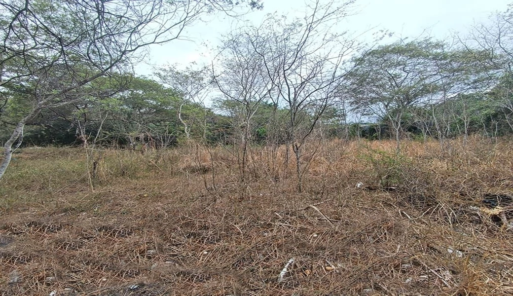 TERRENO EN VENTA – YUNGUILLA – LA UNIÓN – 1400M2 PLANITOS – OPORTUNIDAD.