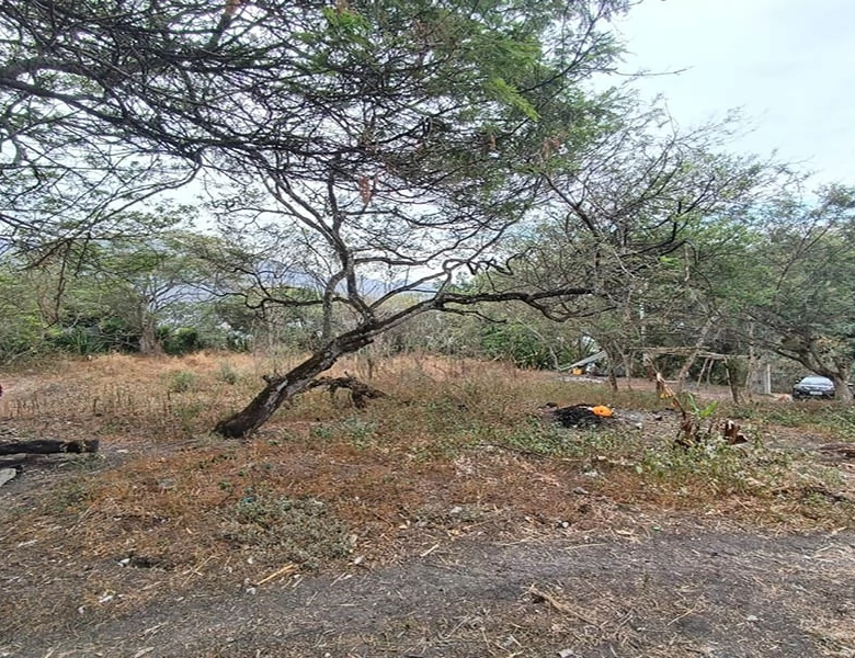 TERRENO EN VENTA – YUNGUILLA – LA UNIÓN – 1400M2 PLANITOS – OPORTUNIDAD.