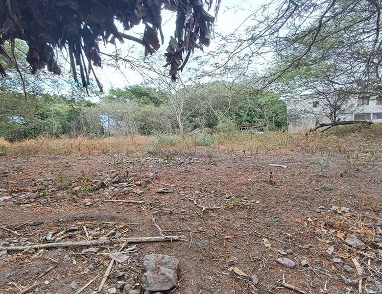 TERRENO EN VENTA – YUNGUILLA – LA UNIÓN – 1400M2 PLANITOS – OPORTUNIDAD.