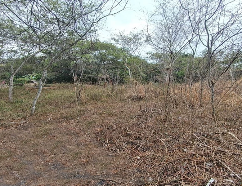 TERRENO EN VENTA – YUNGUILLA – LA UNIÓN – 1400M2 PLANITOS – OPORTUNIDAD.