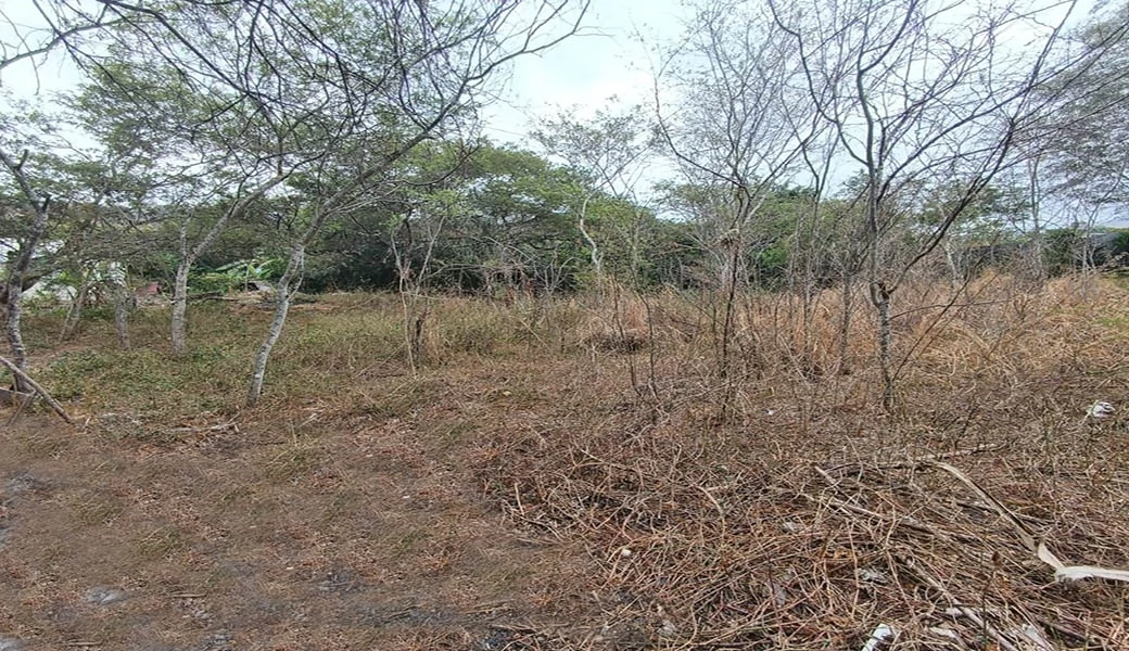 TERRENO EN VENTA – YUNGUILLA – LA UNIÓN – 1400M2 PLANITOS – OPORTUNIDAD.