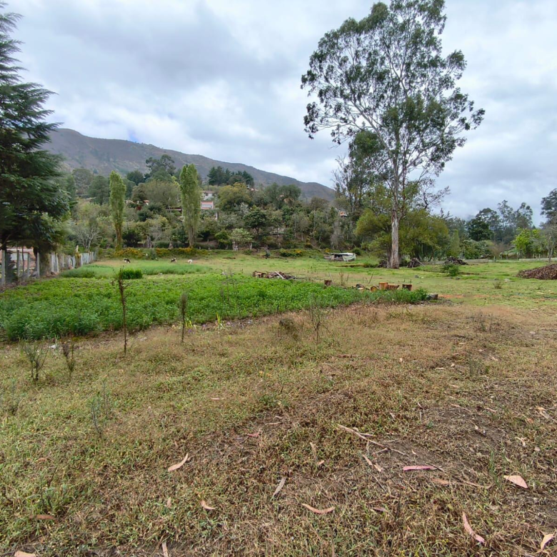 Hermosa Propiedad Familiar en Paute – Terreno de 8.600 m²
