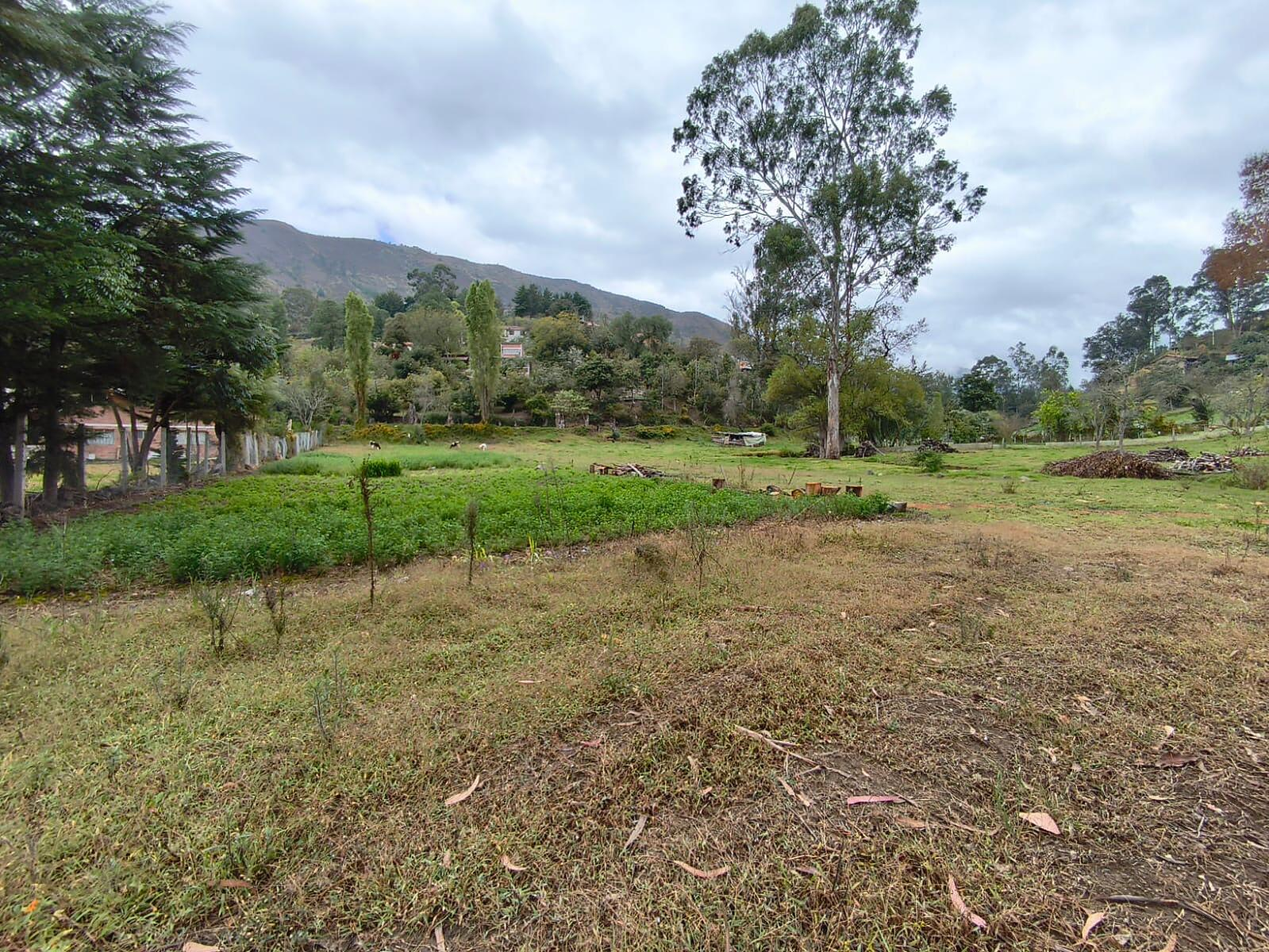Hermosa Propiedad Familiar en Paute – Terreno de 8.600 m²