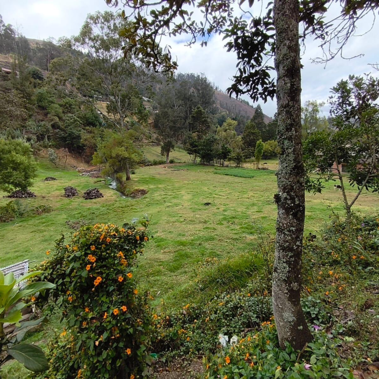 Hermosa Propiedad Familiar en Paute – Terreno de 8.600 m²