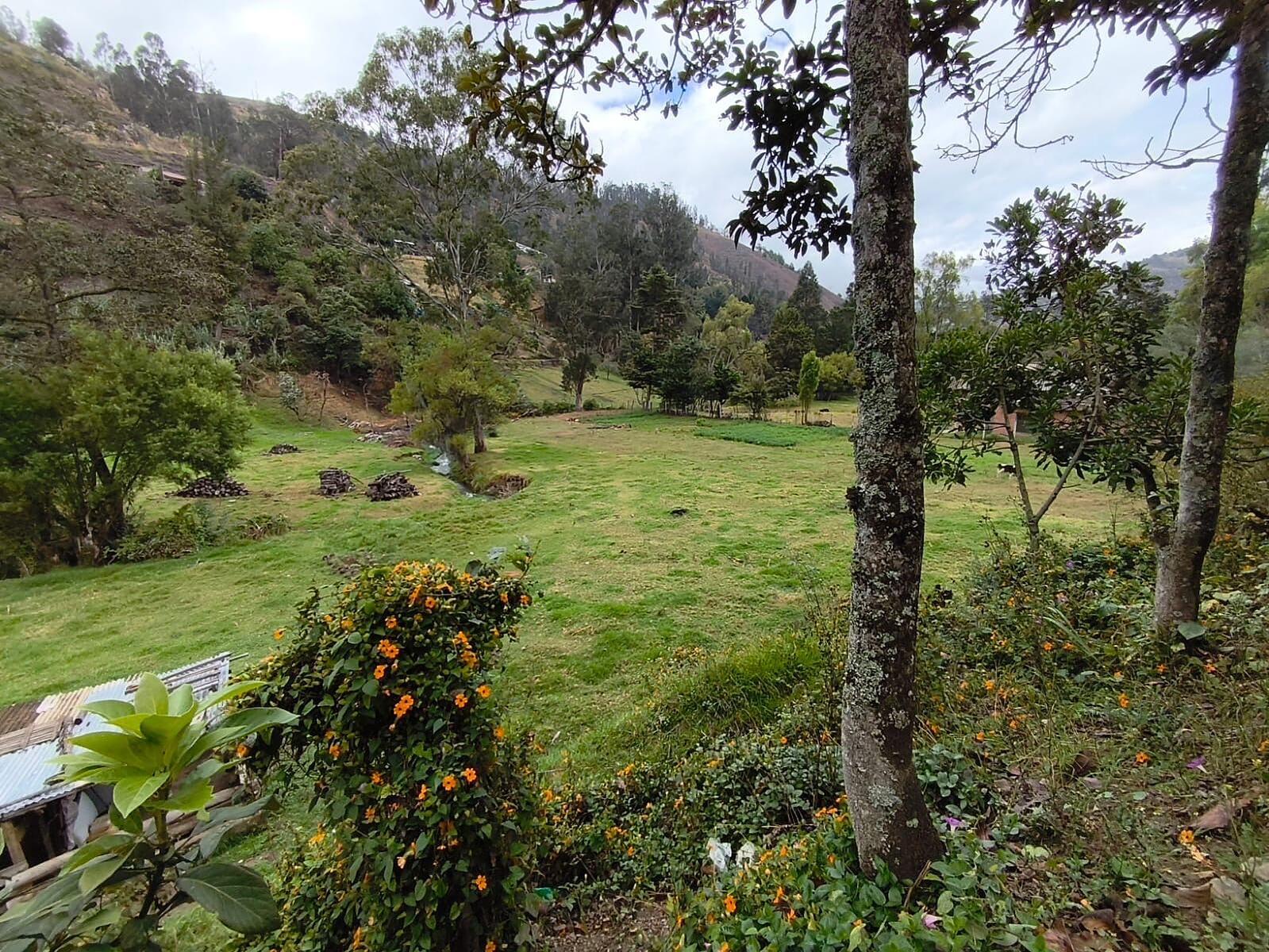 Hermosa Propiedad Familiar en Paute – Terreno de 8.600 m²