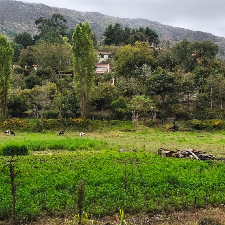 Hermosa Propiedad Familiar en Paute – Terreno de 8.600 m²