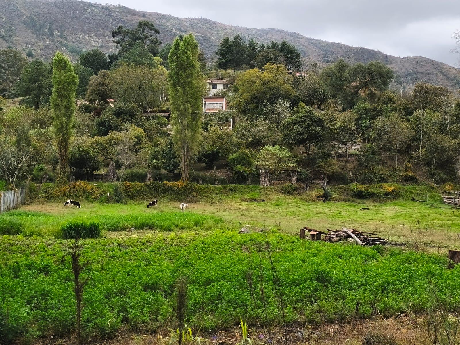 Hermosa Propiedad Familiar en Paute – Terreno de 8.600 m²