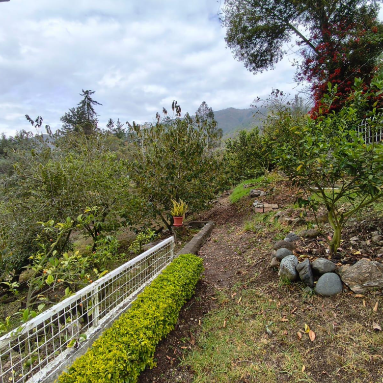 Hermosa Propiedad Familiar en Paute – Terreno de 8.600 m²