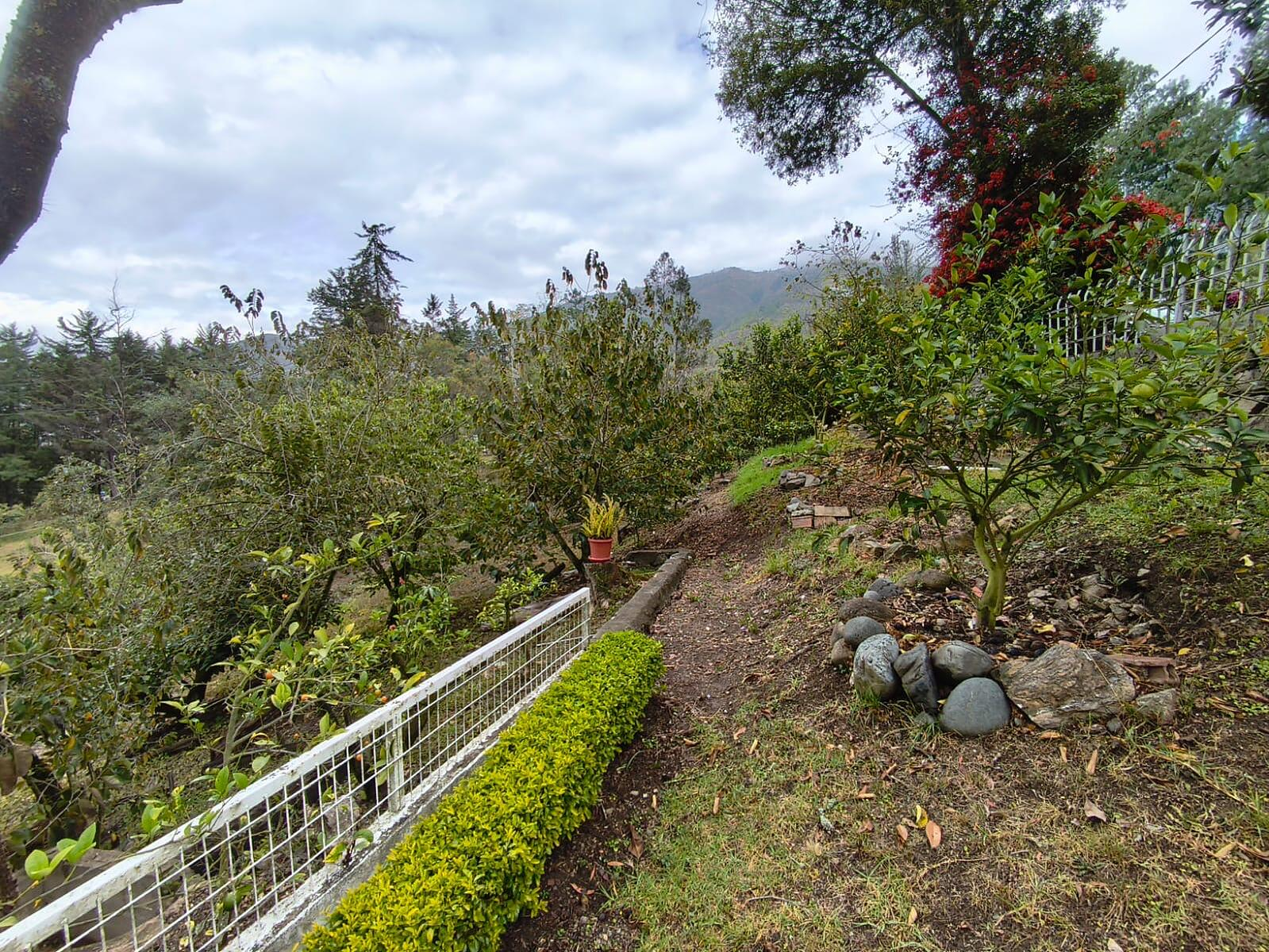 Hermosa Propiedad Familiar en Paute – Terreno de 8.600 m²