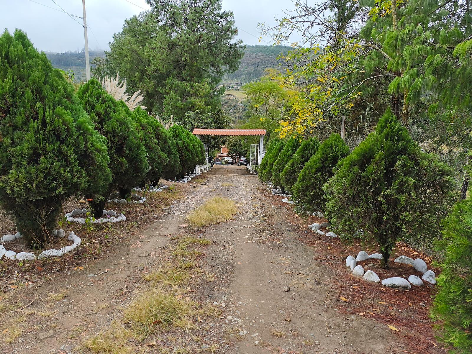 Hermosa Propiedad Familiar en Paute – Terreno de 8.600 m²