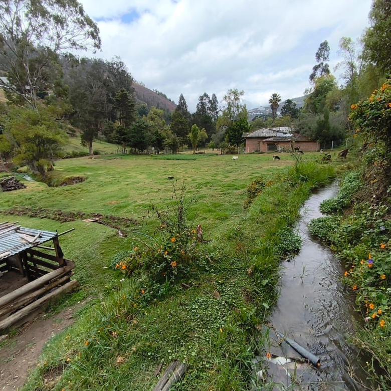 Hermosa Propiedad Familiar en Paute – Terreno de 8.600 m²