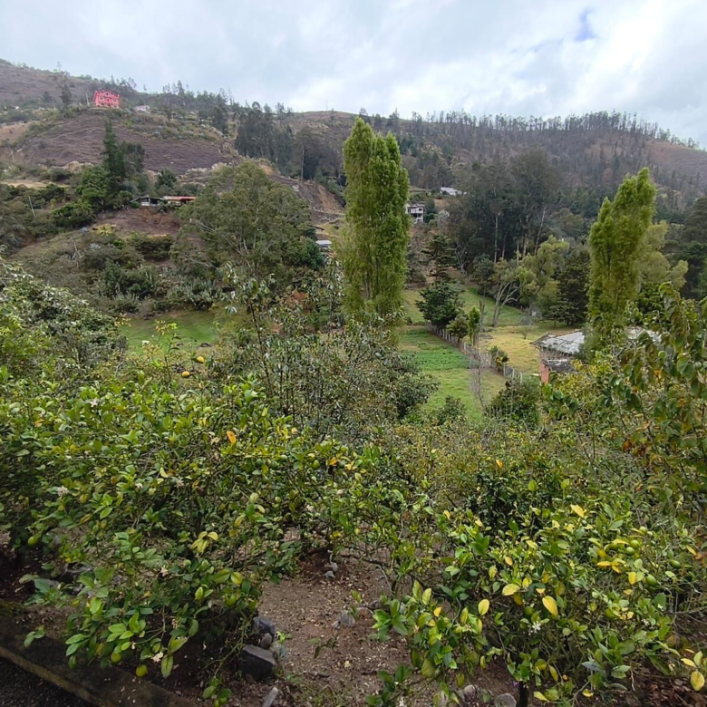 Hermosa Propiedad Familiar en Paute – Terreno de 8.600 m²