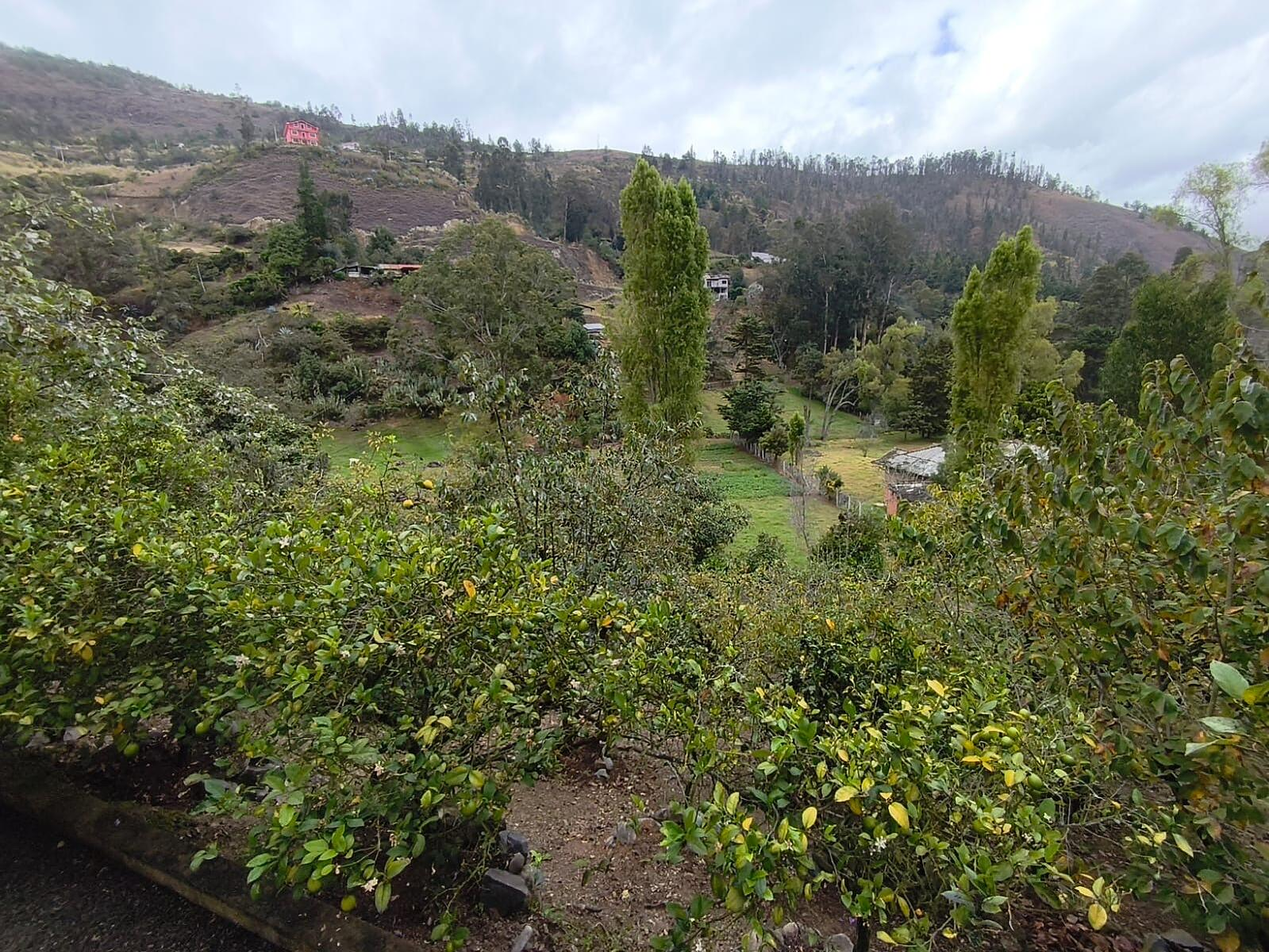 Hermosa Propiedad Familiar en Paute – Terreno de 8.600 m²